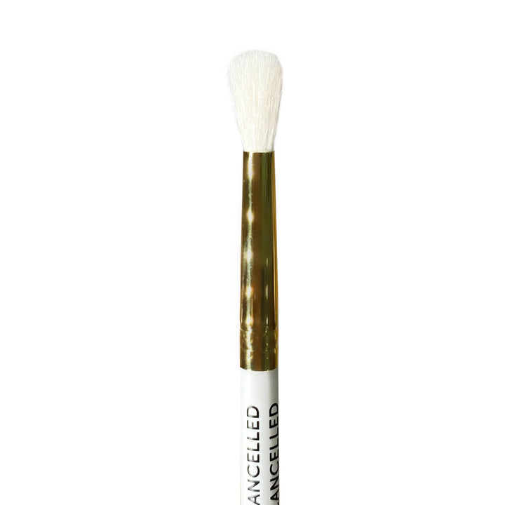 plouise-120-brush.-v1