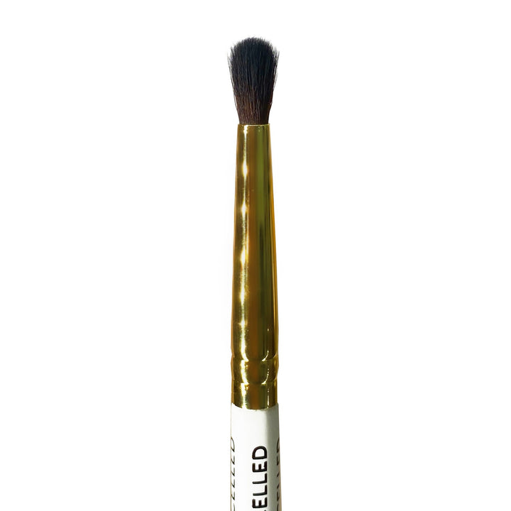 plouise-124-brush-v1