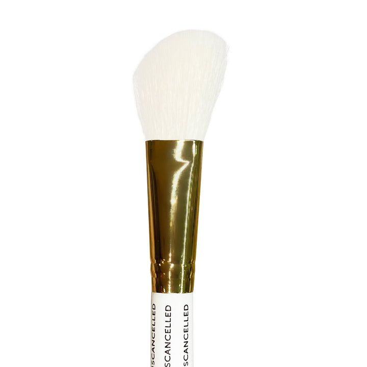 plouise-638-brush-v1