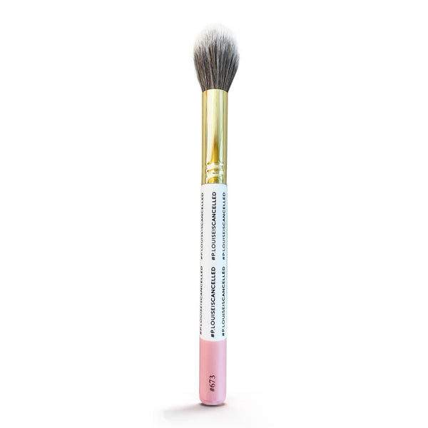 plouise-673-brush-main