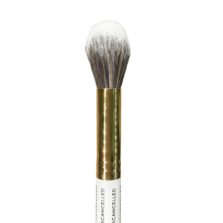 plouise-673-brush-v1