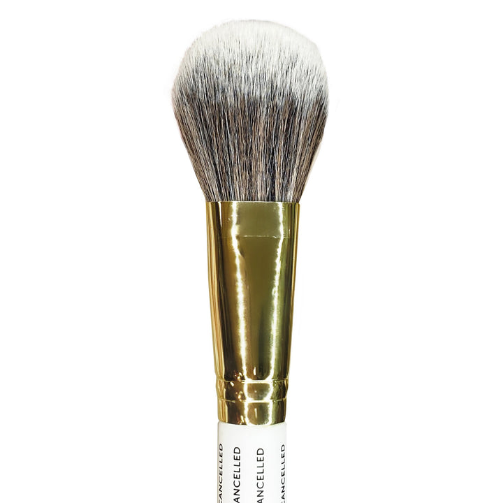 plouise-681-brush-v1